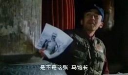 背对背脸对脸在线观看,揭秘网络社交的虚拟与真实